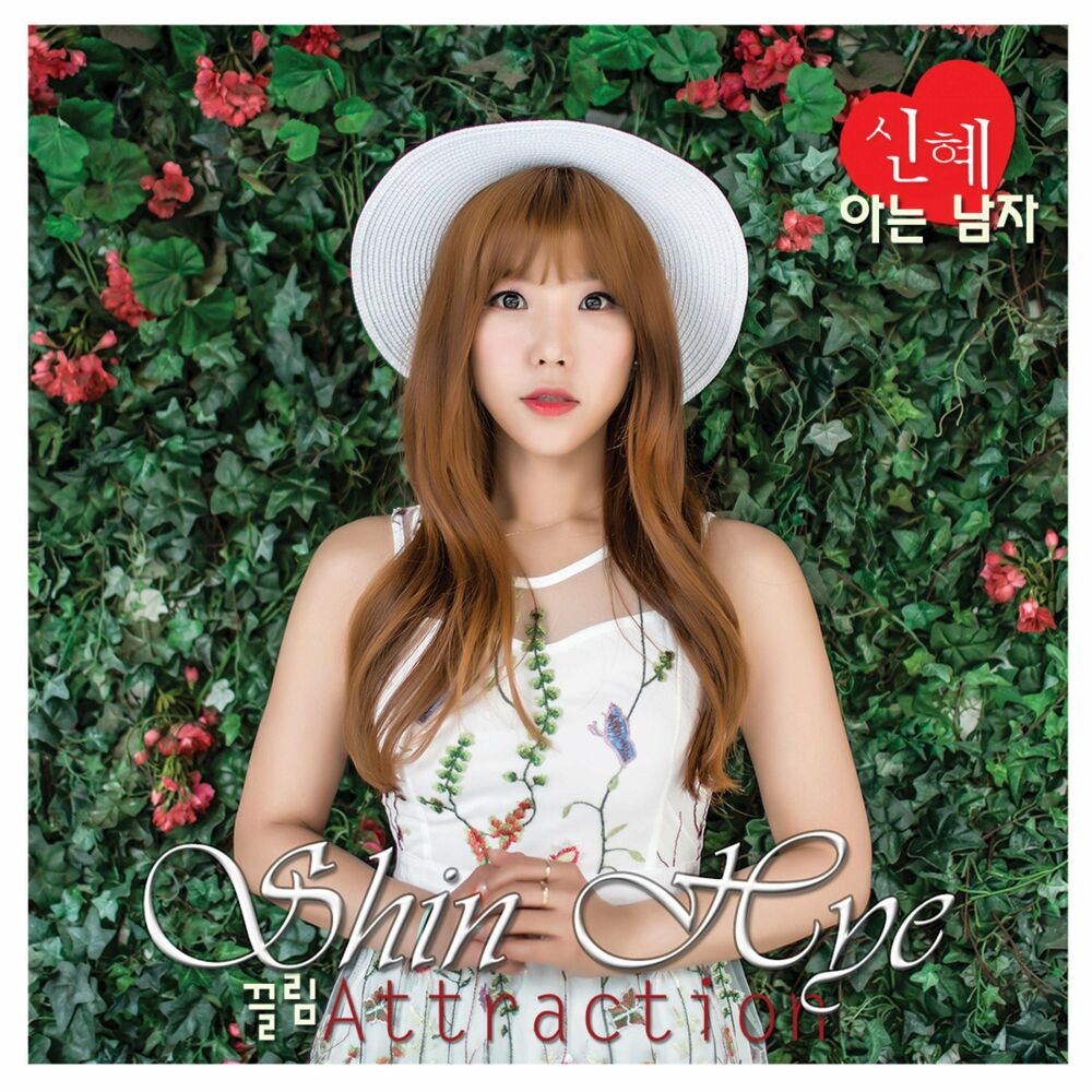 Shin Hye – Attraction