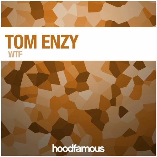 Tom Enzy - Gold Digger: lyrics and songs