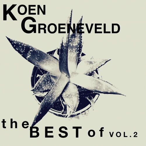 The Best Of, Vol.2 - Koen Groeneveld