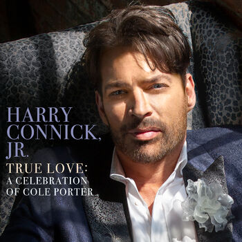 Harry Connick Jr You D Be So Nice To Come Home To Listen With Lyrics Deezer