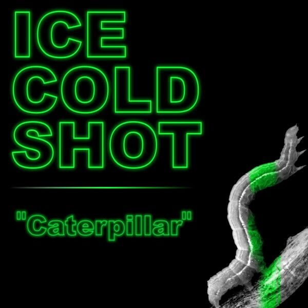 Ice Cold Shot - Caterpillar [single] (2019)