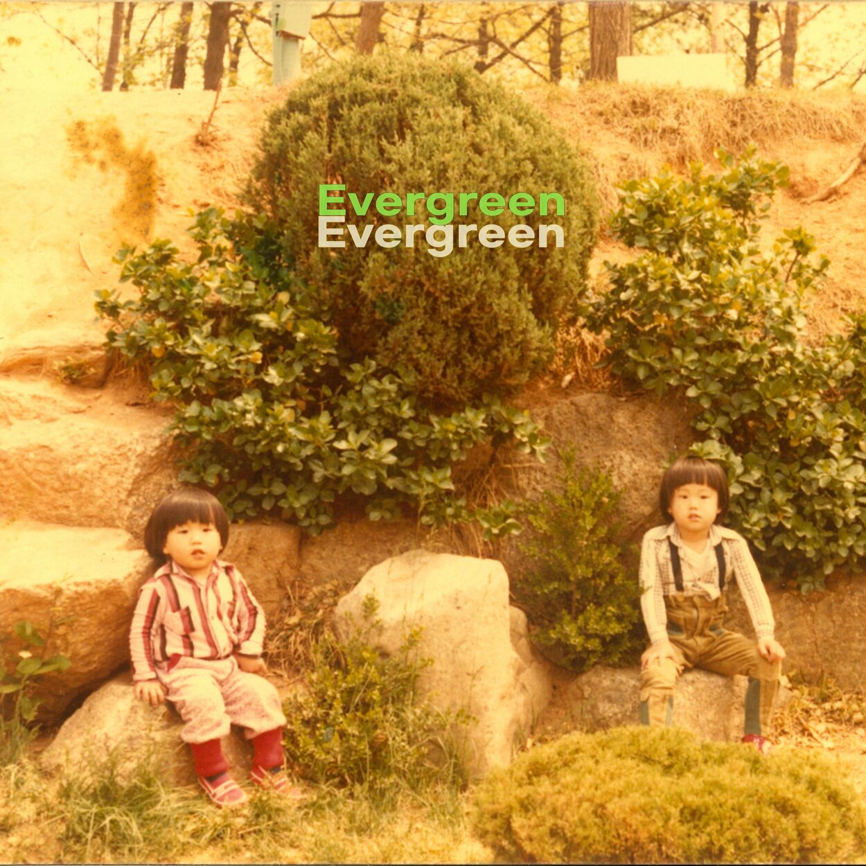 E Z Hyoung – Evergreen – Single