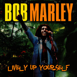 Bob Marley The Wailers Lively Up Yourself Lyrics And Songs Deezer