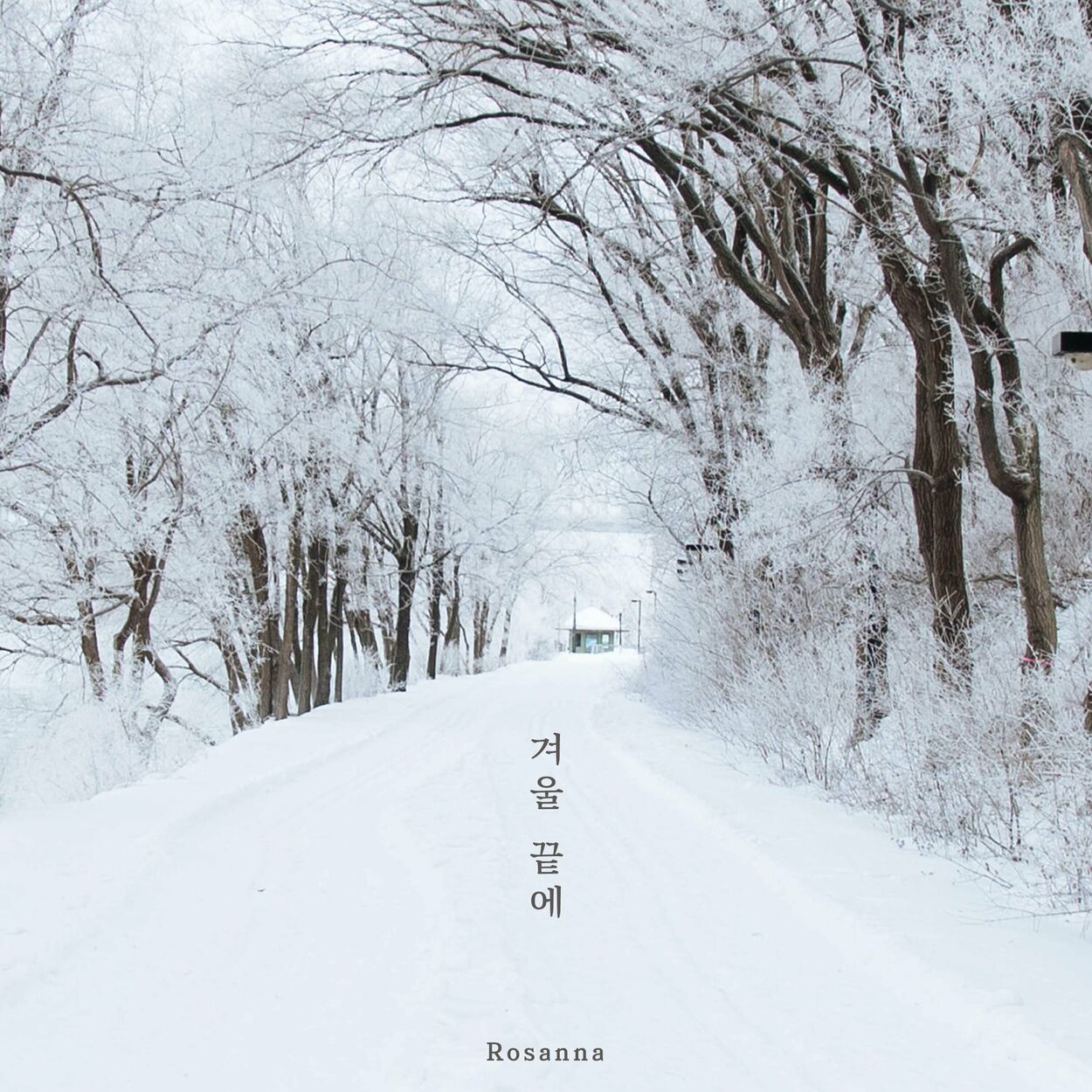 Rosanna – The end of winter – Single