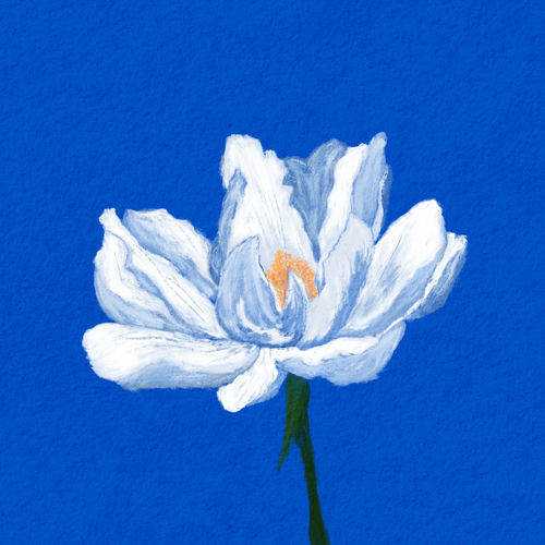 soowoo – Light – Single