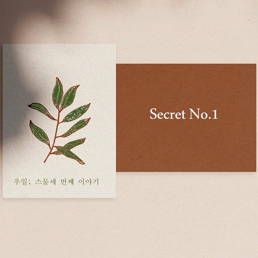 Wooil – Secret No.1 – Single