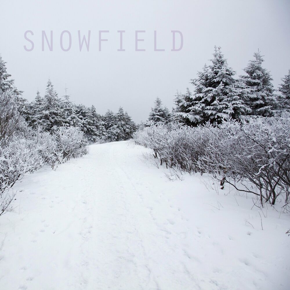 Seung Yup Han – Snowfield – EP