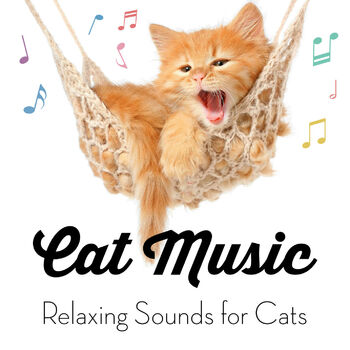 I calm cat clearance music