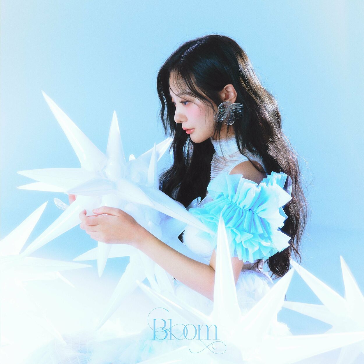 BOL4 – Bloom – Single