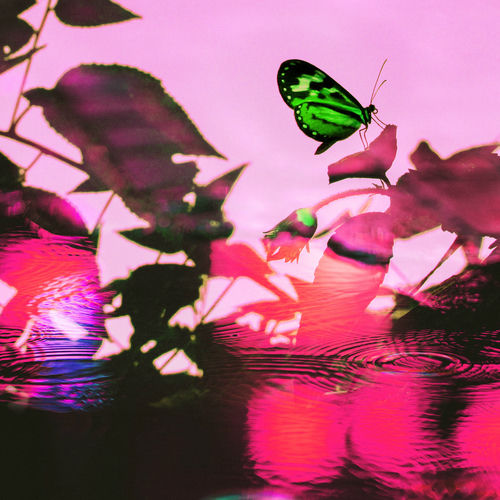 Moon Sujin – Better – Single