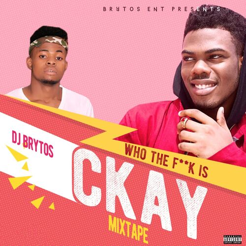 Who the Fuck Is Ckay Mixtape - DJ Brytos
