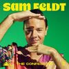 SAM FELDT - The Confession (Record Mix)