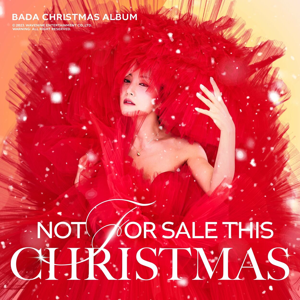 Bada – Not for sale this christmas – Single