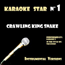 Karaoke T Crawling King Snake In The Style Of The Doors