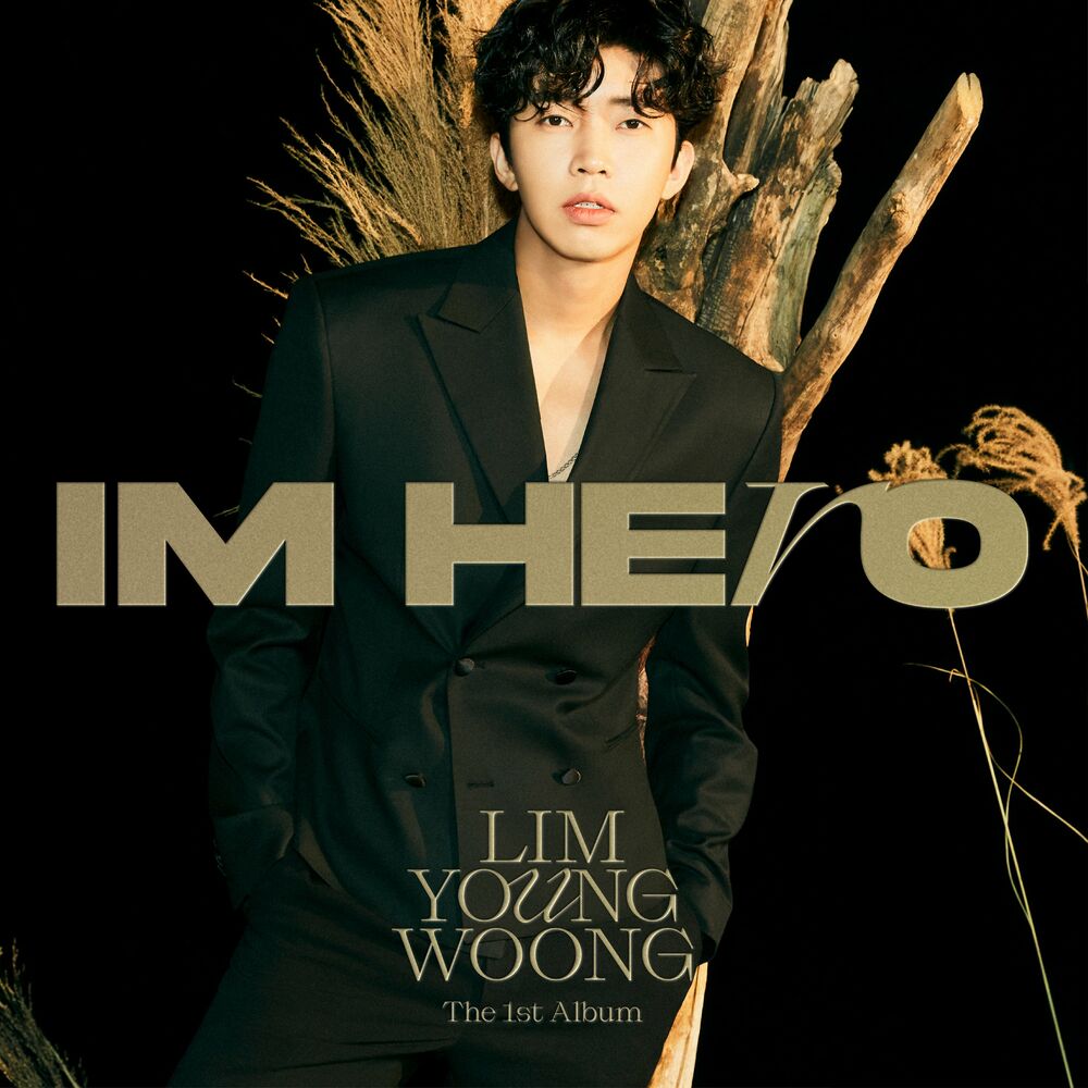 Lim Young Woong – IM HERO