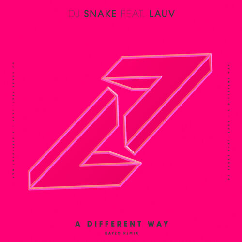 A Different Way (Kayzo Remix) - DJ Snake