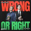 Bassjackers - Wrong Or Right (The Riddle)