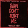 GUETTA David & ANNE-MARIE & LERAY Coi - Baby Don't Hurt Me