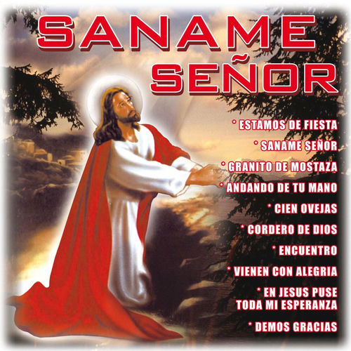 Alabanza Musical Saname Senor Vol 2 Lyrics And Songs Deezer alabanza musical saname senor vol 2