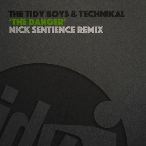  The Tidy Boys And Technikal - The Danger (Nick Sentience Remix) (2024) 