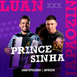 Música Princesinha - Luan Estilizado (Com Japãozin) (2022) 