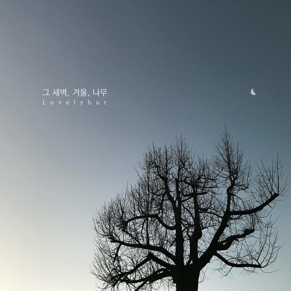 Lovelybut – That Dawn, Winter, Tree – Single