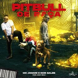 Mc Jacaré - Pitbull de Raça download - Baixando Música