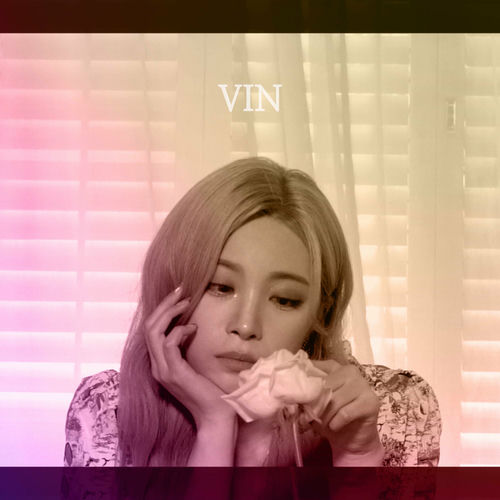 VIN – THE NAIL – Single