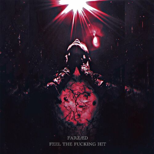  FARZAED - FEEL THE FUCKING HIT (2024) 