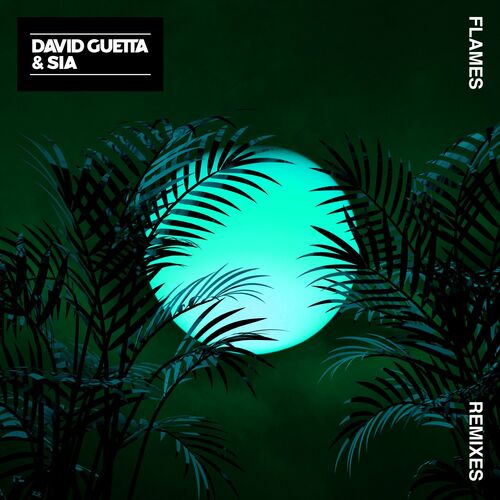 Flames (Remixes) - David Guetta