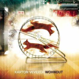 wohnout karton veverek