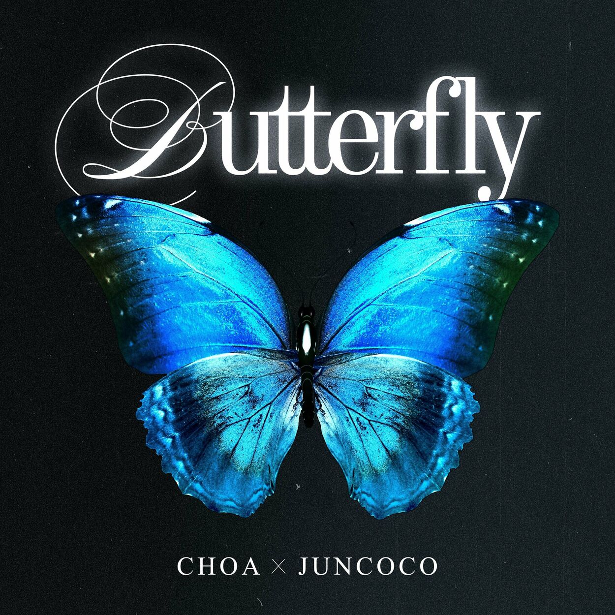 Choa – Butterfly – Single