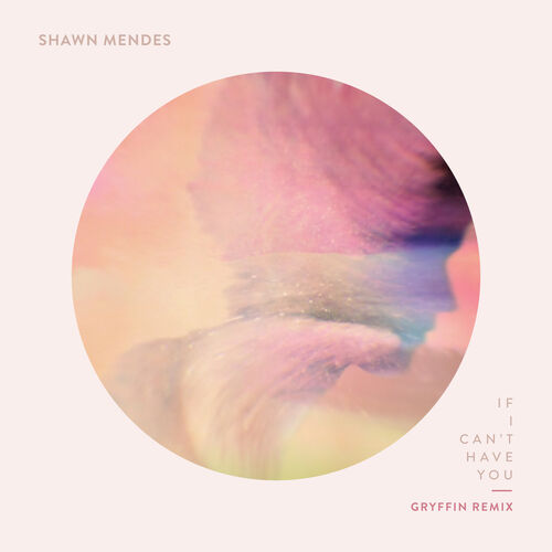 If I Can't Have You (Gryffin Remix) - Shawn Mendes