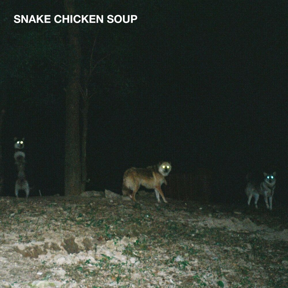 Snake Chicken Soup – FUCK OFF – Single