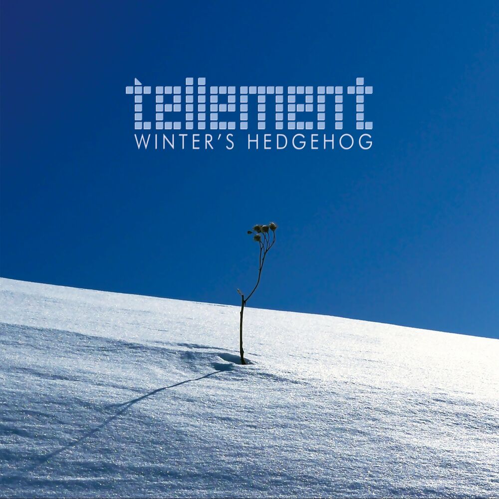 Tellement – Winter’s Hedgehog