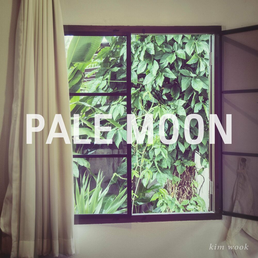 Kim Wook – Pale Moon – EP