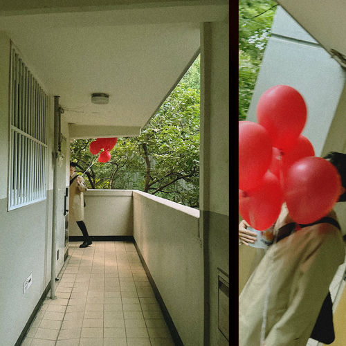 Wilcox – Comma – Single