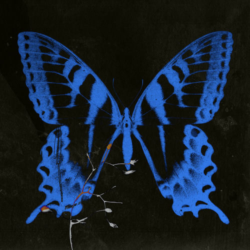 Song Sohee – GANGGANGSULLAE – EP