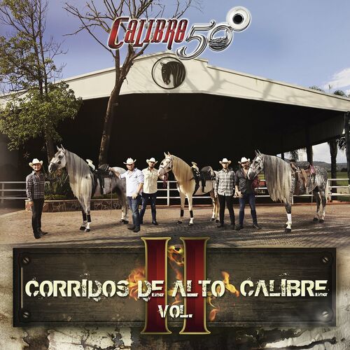 Calibre 50 - Reviews & Ratings on Musicboard