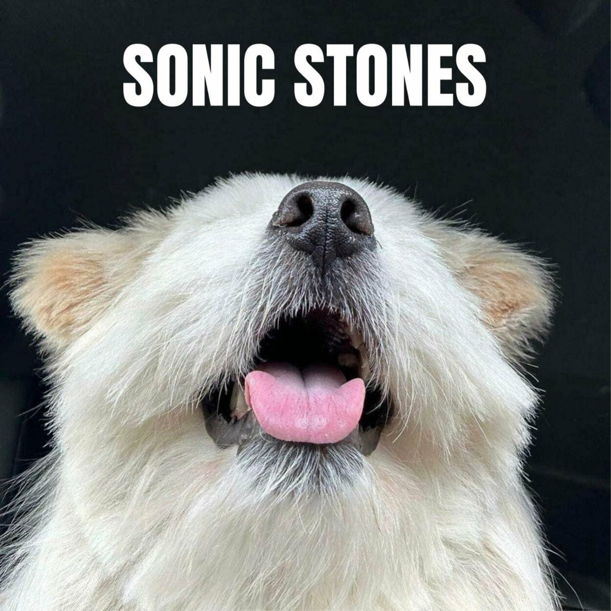 SONIC STONES – FORWARD – Single