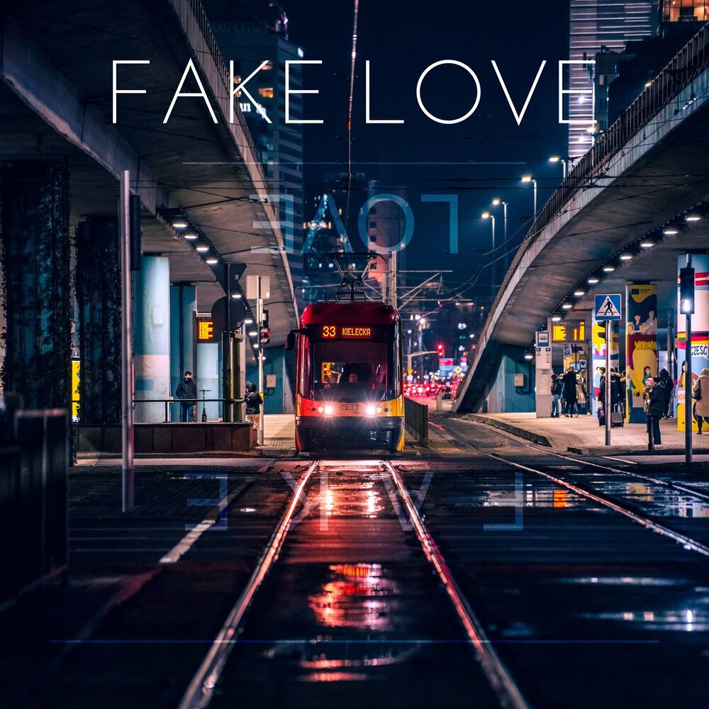 SIM2 – Fake Love – Single