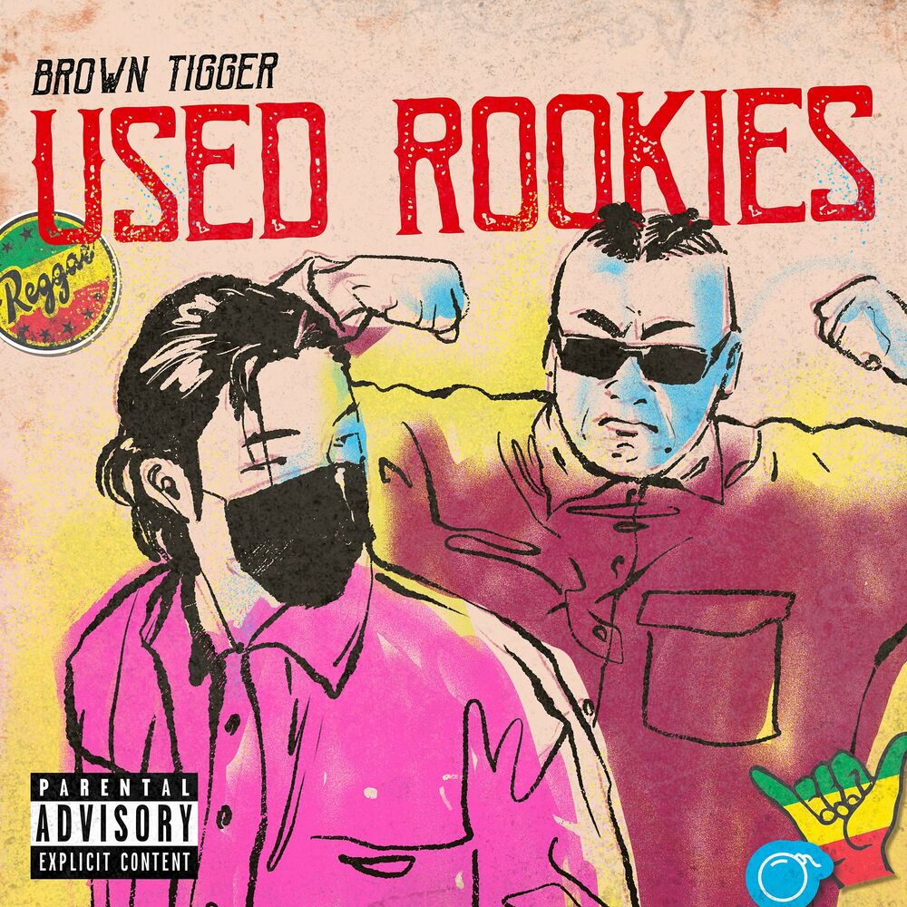 Brown Tigger – Used Rookies – Single