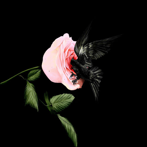 Paul Blanco – Do – Single