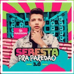 Download Nadson O Ferinha - Seresta pra Paredão 3.0 2023