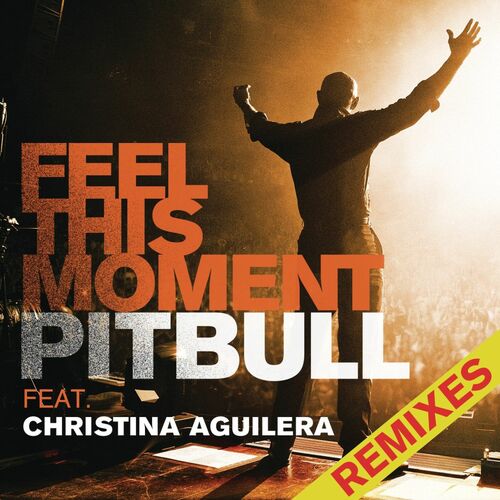 Feel This Moment Remixes (feat. Christina Aguilera) - Pitbull