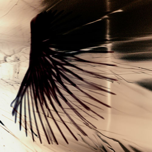 jiwoo – Afterimage – Single