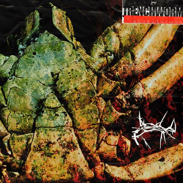 trenchworm - The Map of Flesh [single] (2020)