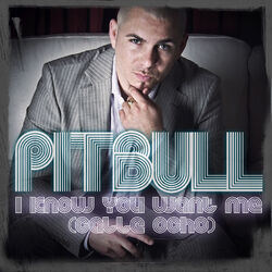 Pitbull – I Know You Want Me (Calle Ocho) 2009 CD Completo