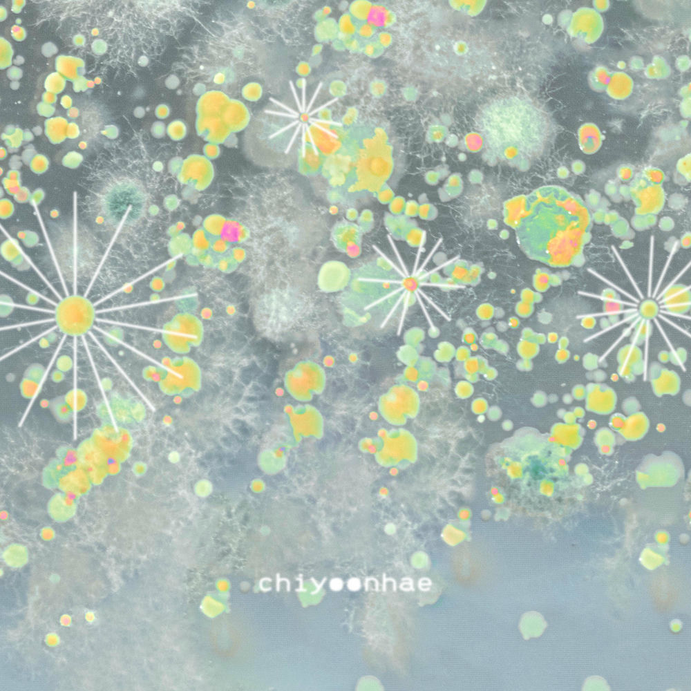 chiyoonhae – Zenly (feat. Dajung) – Single