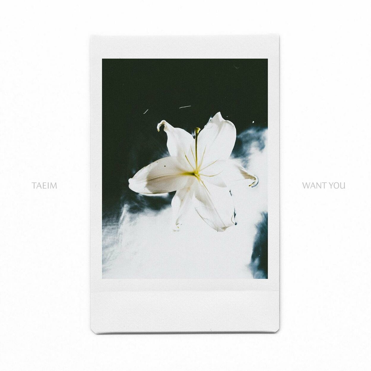 TAEIM – WANT YOU – Single